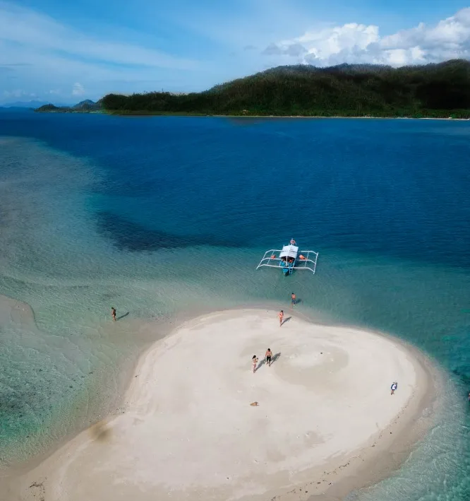 Starfish Sandbar